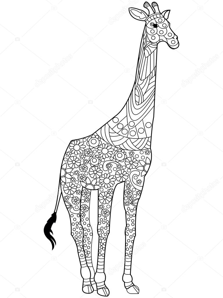 giraffe coloring book vector for adults stock vector