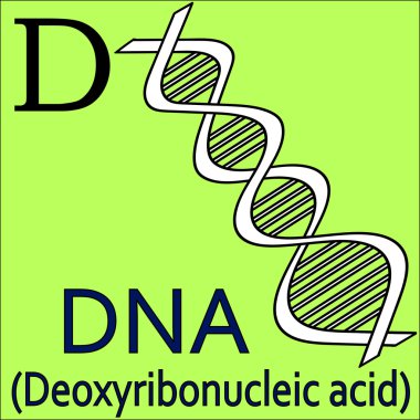 D harfi. Vektör kristal. Mikroskop boyama
