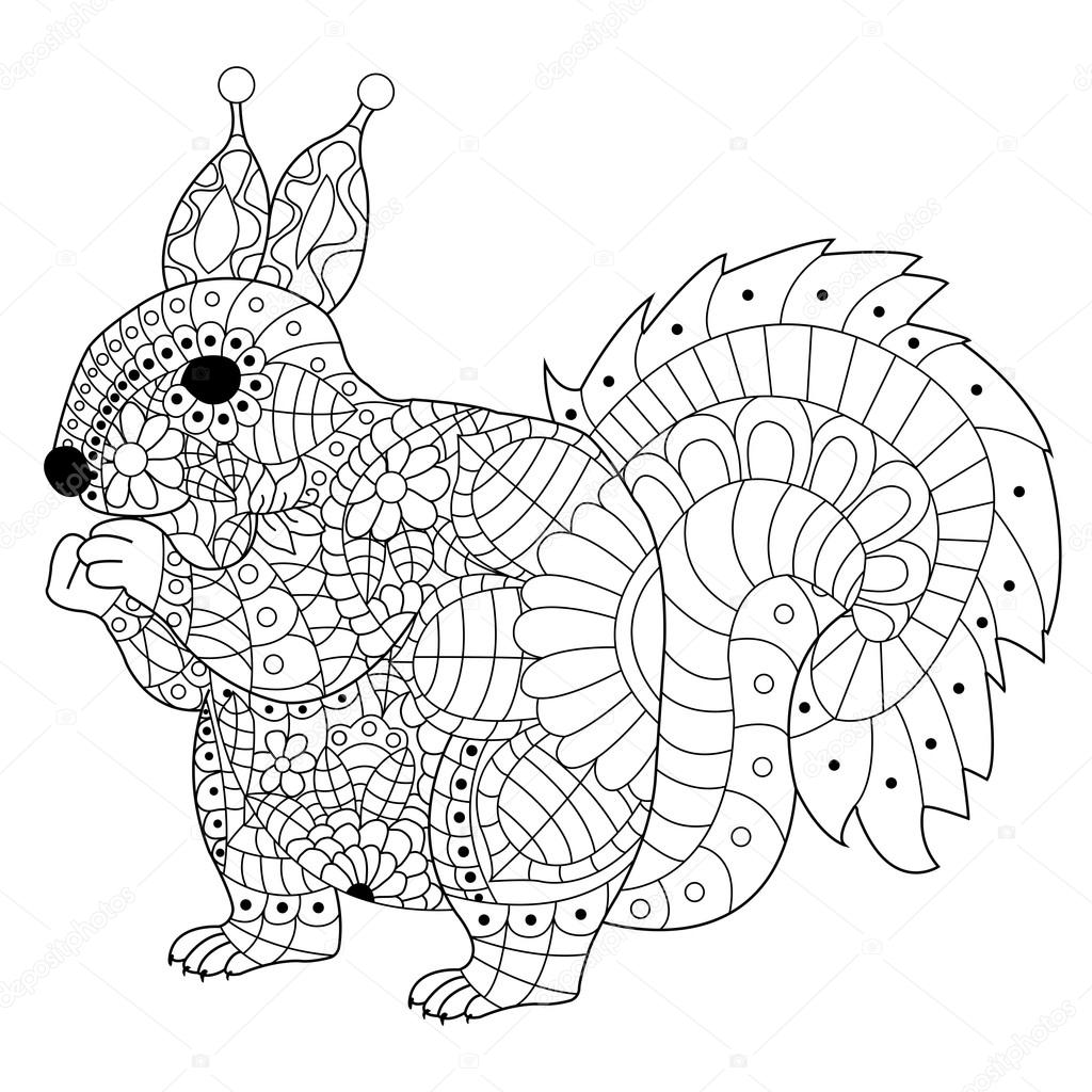 Vecteur de coloriage écureuil pour adultes — Image vectorielle