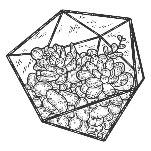 Succulent plant, glass florarium vase. Engraving raster illustration. — Stock Image Succulent plant, glass florarium vase. Engraving raster illustration. Stock Picture
