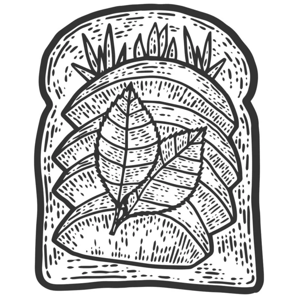 Sandwich con aguacate y hierbas. Boceto imitación tablero de rasca. — Vector de stock