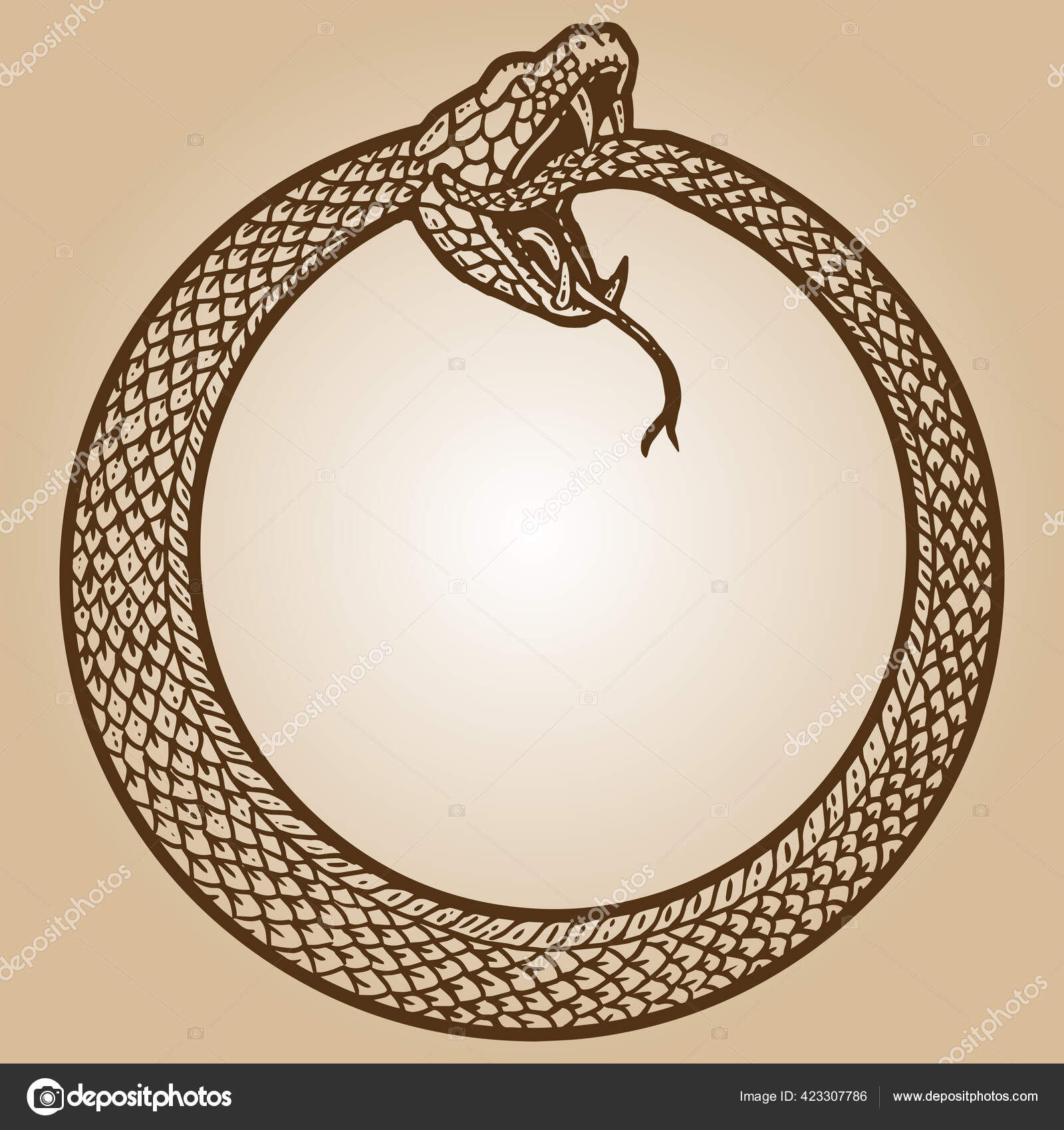 Uroboroer, slange i en ring, biter seg i halen. Tegning av  klortavlimitasjon. stockvektor © toricheks2016.gmail.com #423307786, image size:1600x1700