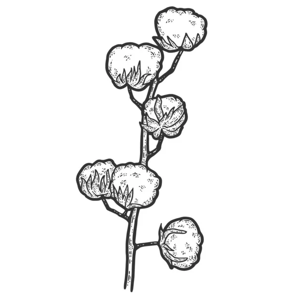 Cotton branch. Engraving raster illustration. Sketch scratch board imitation. — Stock Photo, Image