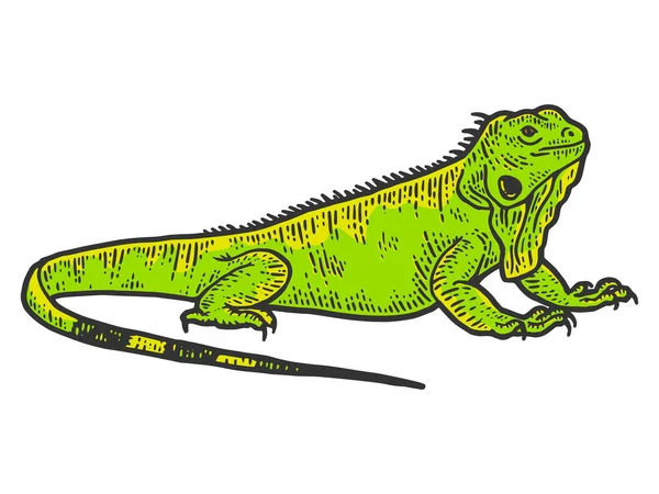 Szkic Iguany, rysunek wielkiej jaszczurki. Kolor druku odzieży — Wektor stockowy