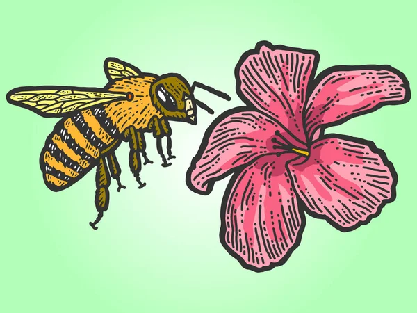 Egy méh repül egy virághoz. Karcolódeszka utánzat. Színes kézzel rajzolt kép. — Stock Vector