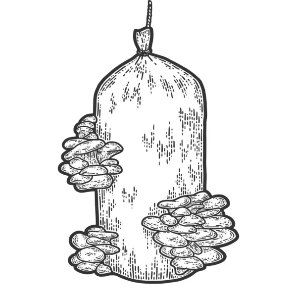 Cogumelos ostra cultivados em saco. Ilustração vetorial de gravura. Sketch imitação placa de arranhão. —  Vetores de Stock