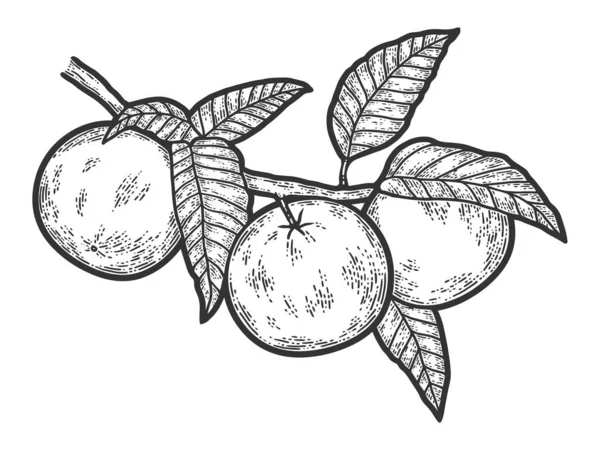Rama naranja con frutas y hojas. Jirafa alegre. Grabado ilustración raster. — Foto de Stock