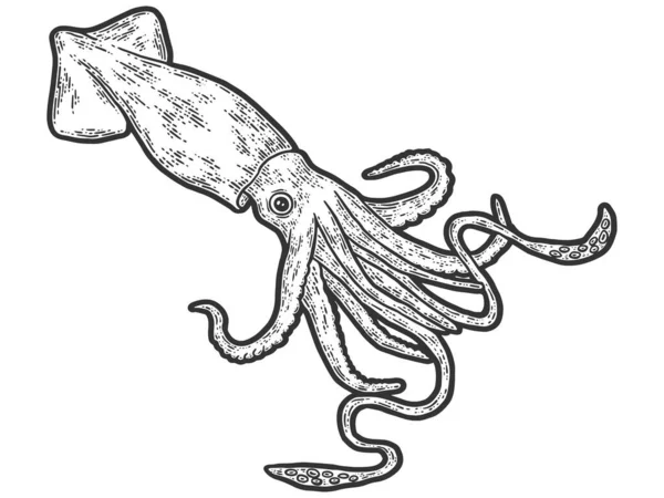 Colossal squid. Engraving raster illustration. Sketch scratch — Stock Photo, Image