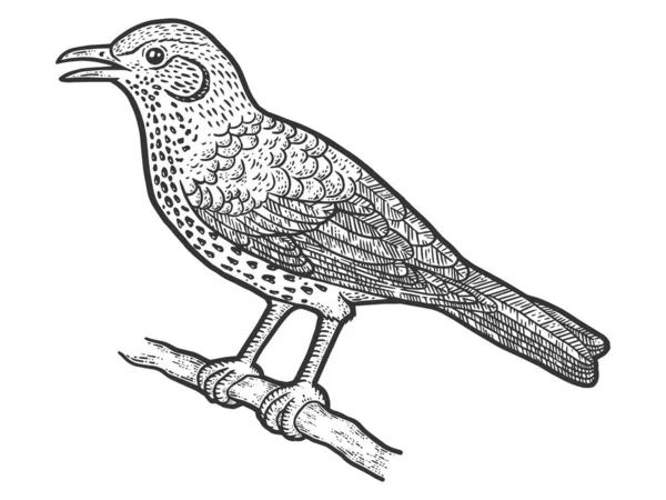 Tordo uccello seduto sul ramo. Illustrazione raster incisione. — Foto Stock