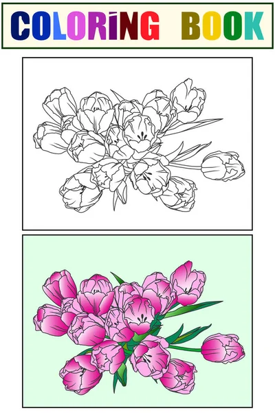 Set coloring book flowers, tulips bloomed. Vector illustration. — Stockový vektor