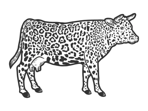 Hybrydowa krowa w kolorze futra lamparta. Ilustracja grawerowania rastrowego. Szkic. — Zdjęcie stockowe
