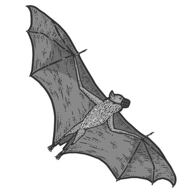 Memeli, namluda mikroyarasa var. Coronavirus koruması. Çizim tahtası taklidi.