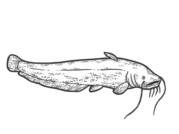 Ikan lele. Sketch menggaruk papan imitasi. Hitam dan putih. Grafik Vektor