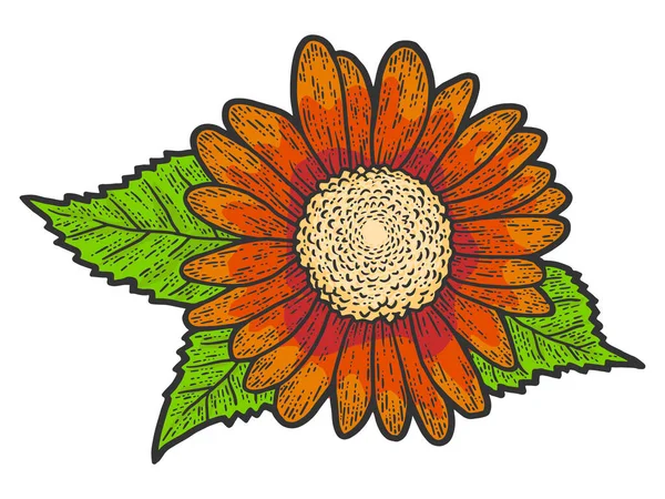 Decorative flower of a sunflower. Sketch scratch board imitation color.