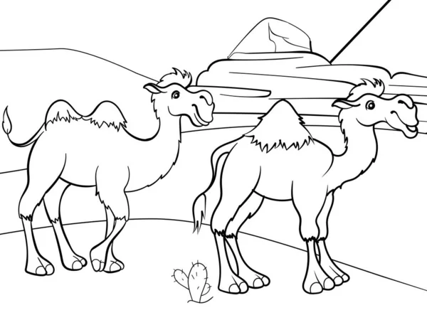 Twee kamelen in de woestijn. Kleurboek voor kinderen. Dierlijk. — Stockvector