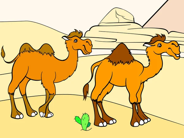 Kaksi kamelia aavikolla. Lasten värityskirja. Eläin. — vektorikuva