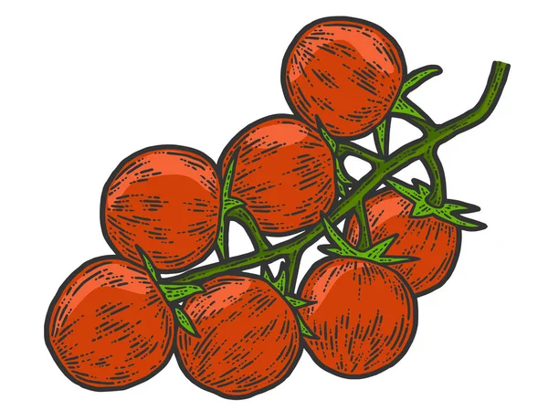 Tomates cherry. Bosquejo de rayado imitación de color. — Vector de stock