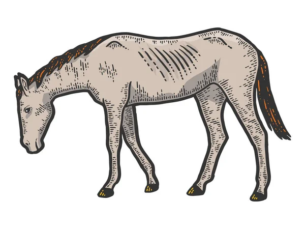 Cavalo magro e exausto. Desenho cor de imitação placa de arranhão. — Fotografia de Stock