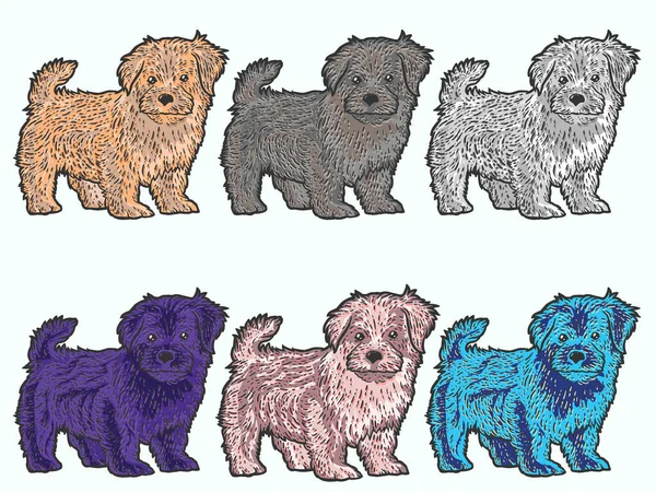 색 설정. 귀엽고 푹신 한 강아지. 스크래치 보드 모방 갈색 — 스톡 사진