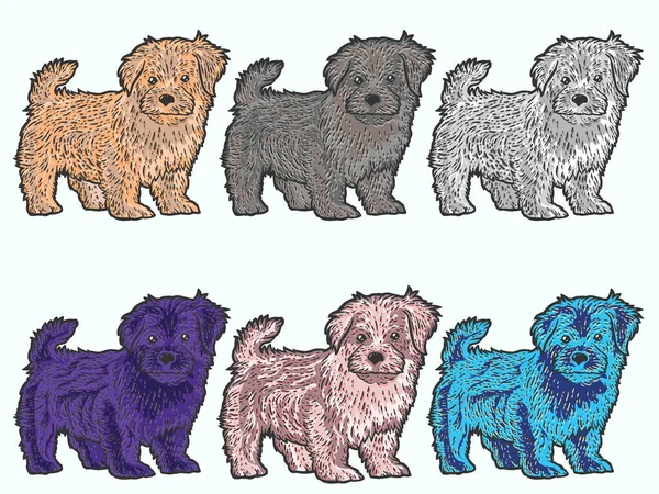 Pon color. Lindo y esponjoso cachorro. Sketch rasca y gana imitación marrón — Archivo Imágenes Vectoriales