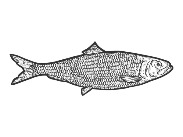 Hareng de poisson. Croquis imitation de planche à gratter. Noir et blanc. Vecteur de gravure. — Image vectorielle