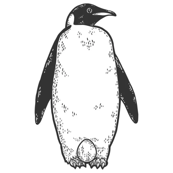 Pingouin roi avec un oeuf sur les pieds en attendant qu'il éclore. Croquis imitation de planche à gratter. — Image vectorielle