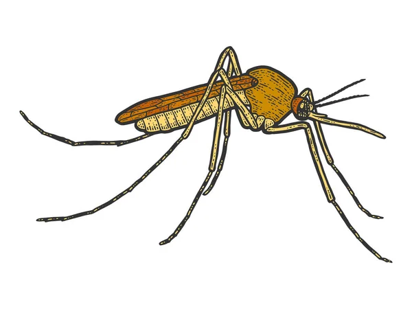 Mosquito isolado. Desenho cor de imitação placa de arranhão. — Fotografia de Stock