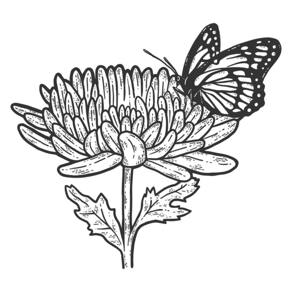 Papillon monarque sur chrysanthème. Croquis imitation de planche à gratter. — Image vectorielle