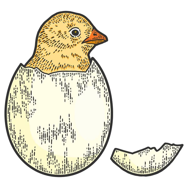 Κοτόπουλο εκκολαφθεί από αυγό. Απομίμηση χαρτονιού σκετς. — Φωτογραφία Αρχείου