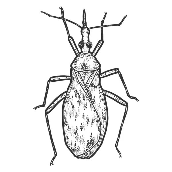 Triatominae. Ilustración de vectores de grabado. Boceto imitación tablero de rasca. — Archivo Imágenes Vectoriales