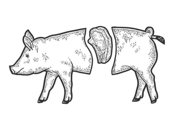 Schaufenster der Fleischabteilung. Schweinekadaver gespalten, Steak. Graviervektorillustration. — Stockvektor