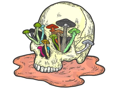 Mantar yetiştiren insan kafatası. Çizim tahtası taklit rengi.