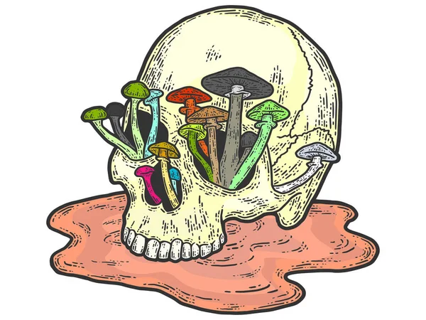 Lidská lebka s rostoucími houbami. Barva imitace náčrtku. — Stockový vektor