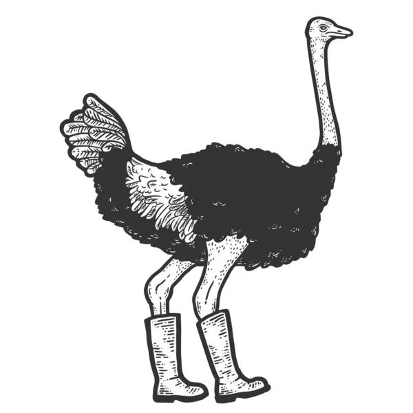 Ostrich in boots. Sketch scratch board imitation color. — Stock fotografie