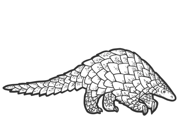 Pangolin animal. Croquis carte à gratter imitation coloriage. — Image vectorielle