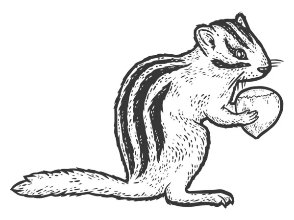Knaagdier, eekhoorn met hazelnoot. Schets krasbord imitatie kleuring. — Stockvector