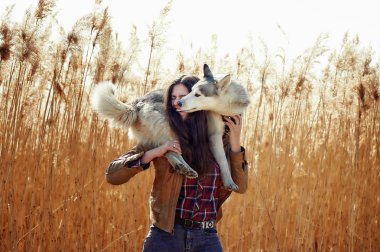 genç kadın ile onun Sibirya husky köpek yavrusu bir alanda gün batımı sırasında oynamaya.