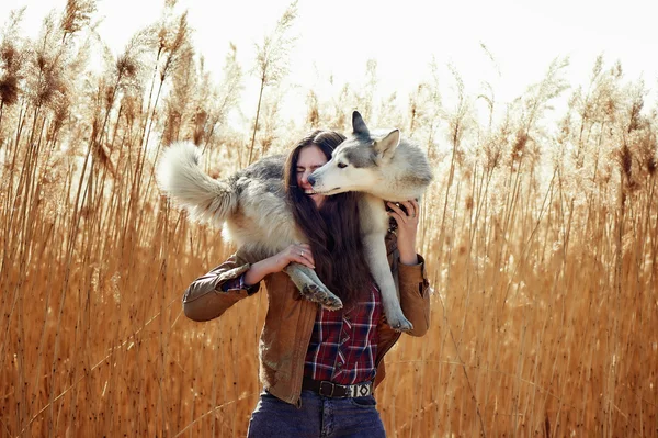 genç kadın ile onun Sibirya husky köpek yavrusu bir alanda gün batımı sırasında oynamaya.