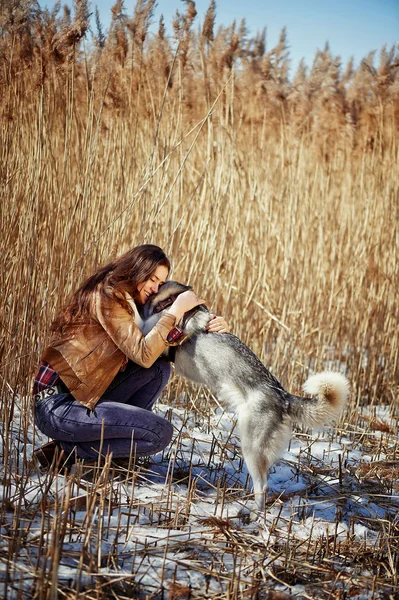 ハスキー puppys 前足を持っている人間の手 — ストック写真