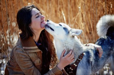 Husky köpek sarılma güzel ve genç birbayan. . Kafa kafaya