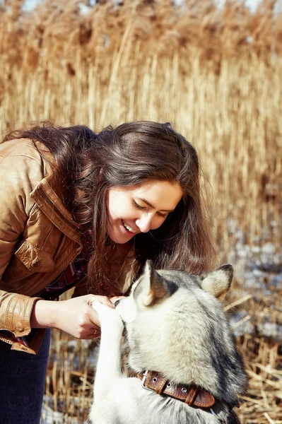 美しい若い女性のハスキー犬を抱いてします。.大接戦 — ストック写真