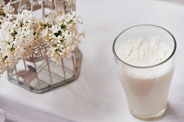 Стеклянное молоко и миска белой безвкусности . — стоковое фото