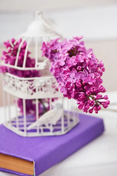 Lindas flores lilás em gaiola de pássaro em rosa — Fotografia de Stock