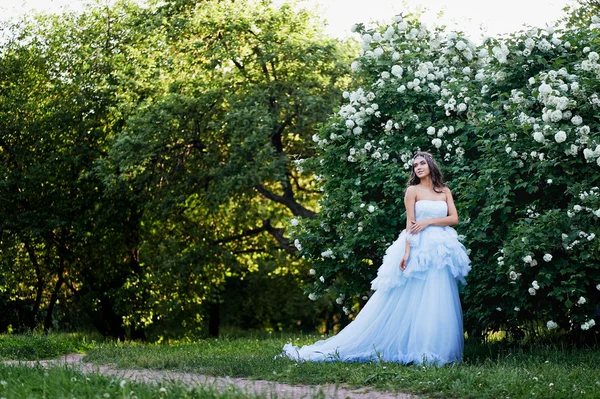 Brunette dans une robe bleue luxuriante avec ses cheveux est fixé dans le jardin — Photo
