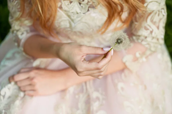 Κορίτσια τα χέρια κρατώντας το πικραλίδες. Για το ιστορικό του τα φορέματα Δαντέλα — Φωτογραφία Αρχείου