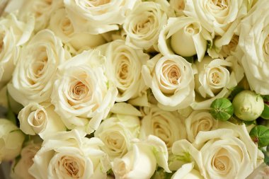 Gül yumuşak doku. yakın çekim, birkaç top