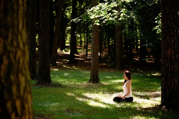 Young beautiful red-haired girl does yoga in Park on green background. . — Stock fotografie