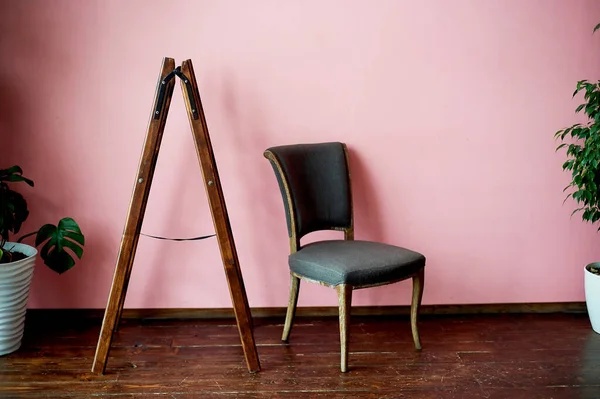 분홍색 벽 배경에 전형적 인 의자가 있습니다. 식물 이 있는 시인. — 스톡 사진