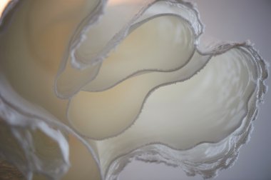 Gelinlik ayrıntılarını