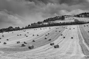 Saman balya ile dağlık manzara kırsal manzara